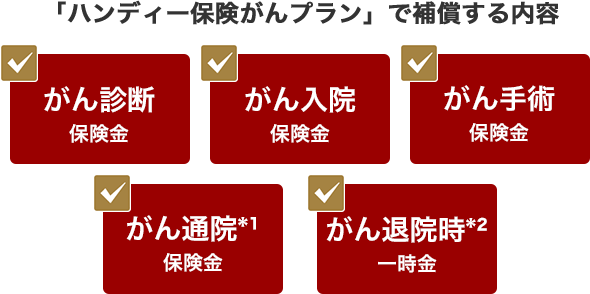「ハンディー保険がんプラン」で補償する内容